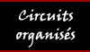 Circuits organiss